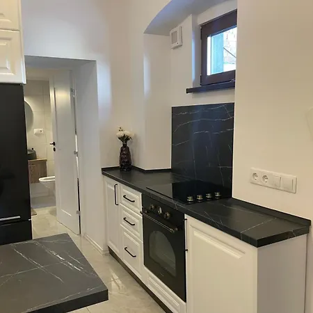 Casa Vane Apartment Brasov