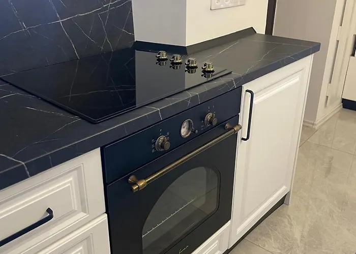 Casa Vane Apartment Brasov