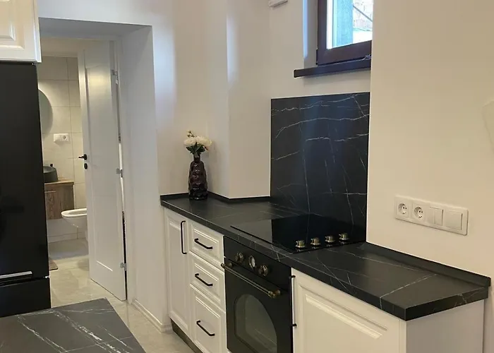 Casa Vane Apartment Brasov