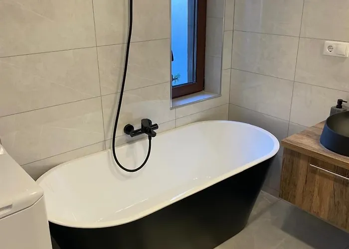 Casa Vane 布拉索夫